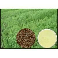  Flax   seed   extract 