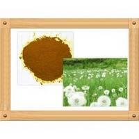  Dandelion   root  Extract