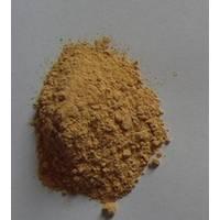  Codonopsis  Root Extract