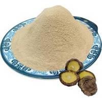  Shitake  Mushroom  Extract 