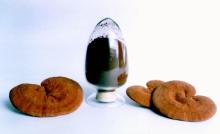  ganoderma   extract 