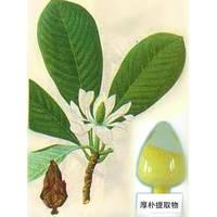 Magnolia Bark extract