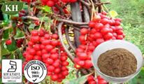 Schizandra Berry Extract, Schisandrin 2%;5:1,10:1