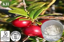 Bearberry Extract,10%-99% Arbutin By HPLC,