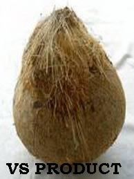 SEMI  HUSK ED  COCONUT 