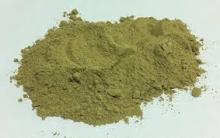 pure green coffee bean extract powder for sale
