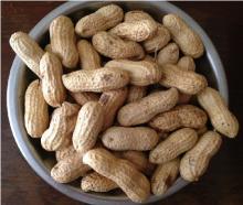 Jumbo Raw Peanuts (In Shell),Jumbo Roasted Peanuts (In Shell),Roasted Virginia Peanuts