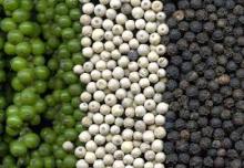 black pepper, white pepper,green pepper and red pepper,onions,ginger,fresh and whites garlic,white