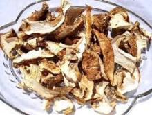 Dried matsutake mushroom bulk retail