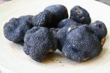 Quality Fresh Black Truffle----100% matured