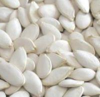 PUMPKIN SEED  GROWN  WITHOUT SHELL GRADE AA