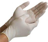 Latex Examination  Glove  Powdered