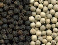Black Pepper 500g/L-550g/L