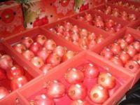  FRESH  POMEGRANATE