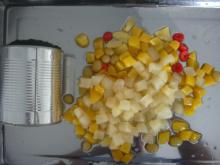 can fruits cocktail 9116#