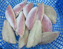  Frozen   Red   Mullet  Fillet Skin-on Boneless