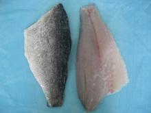 Frozen Barramundi Fillet Skin-on Boneless