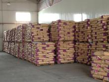 WHOLE MILK POWDER