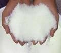 Refined Sugar Icumsa 45 Beet Sugar