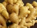 Pure White  Garlic  and Fresh  Ginger 