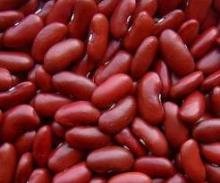 Red and Black Kidney Bean