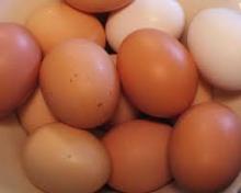 Fresh Chicken Eggs