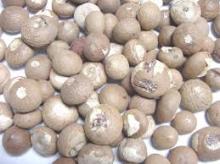 BETEL NUT 80%