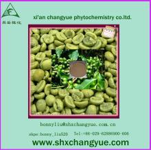chlorogenic acid 100% pure green coffe extract