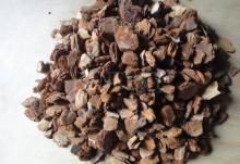 Top Quality  Pine   Bark  Extract