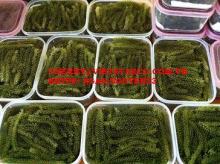 FRESH & DRIED SEA GRAPES