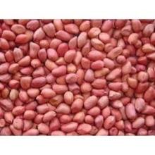35/40 High Quality Red Peanuts