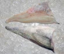 Frozen Cod Fish fillet