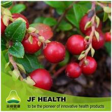 Cranberry Extract PACs25%