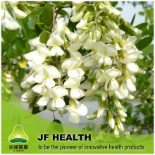  Quercetin  dihydrate - Sophora Japonica Extract