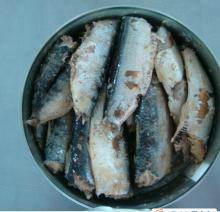 CANNED SARDINE IN SOYBEAN OIL