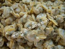 Frozen Boiled  Short - Necked   Clam  Meat, Untreated