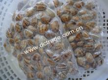  Frozen  Boiled  clam  meat, whole,  shell  on