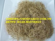 Gracilaria seaweed for ANIMAL FEED