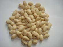 blanced peanut kernel