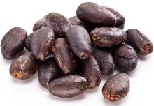 Cocoa Beans Suppliers