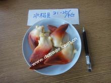 Frozen Cooked Arctic  Surf   Clam 