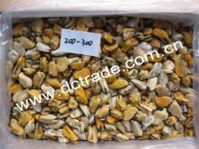 Frozen Cooked Mussel Meat