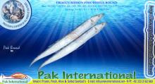 FROZEN RIBBON FISH W/R