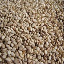  Natural   sesame   seeds 