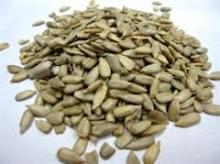 Natural sunflower seed for sale