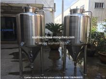  Beer  Fermentation vessel price
