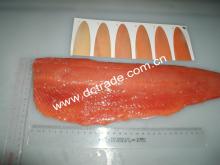 Frozen Chum Salmon Fillet