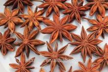 2014 China Star aniseeds