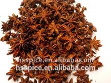 2013 Star Aniseed