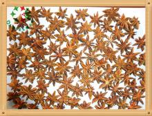 2013 New Star Aniseed